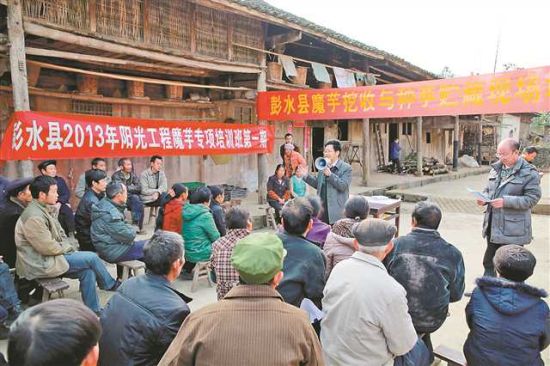 彭水苗族土家族自治县防疫检疫站最新项目进展报告，更新与总结