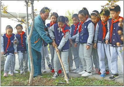 长清区小学最新招聘启事概览