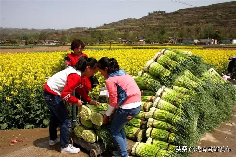 徽县科技局领导团队前瞻领导概览