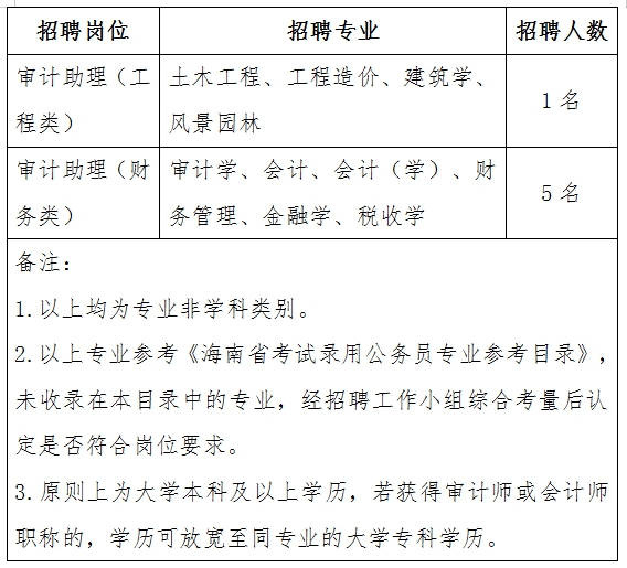 桃源县审计局最新招聘公告全面解析