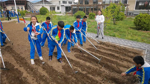 开原市小学新项目，探索之路与期待的目光