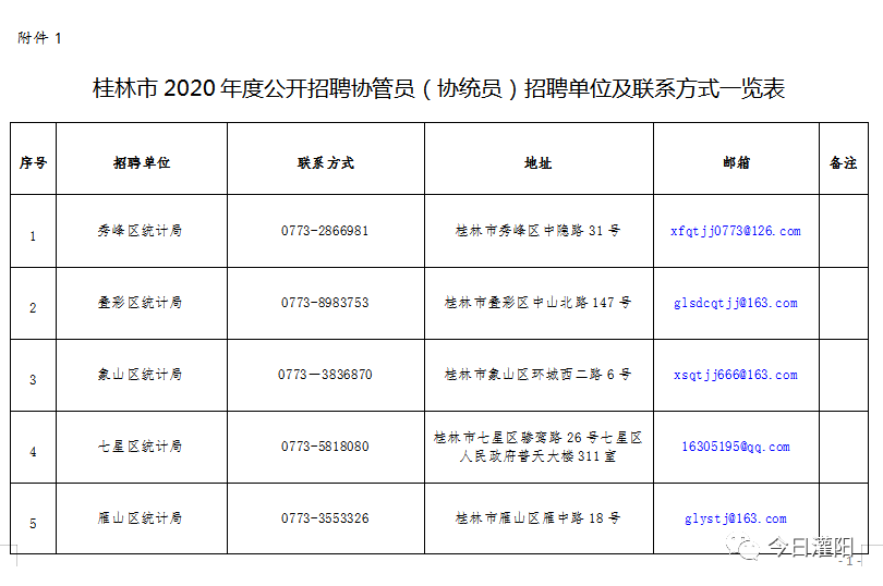 临桂县统计局最新招聘启事概览