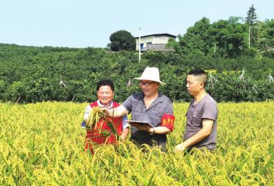 野媚倾情