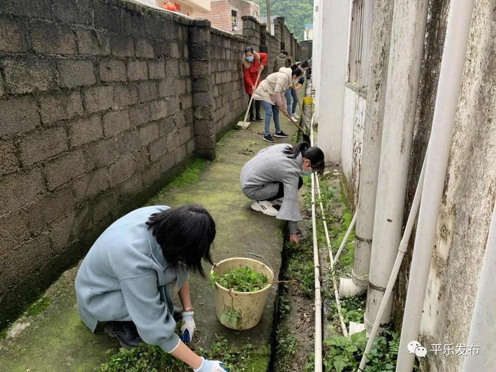 平乐县小学未来发展规划概览