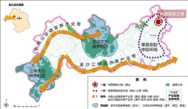 屏山县统计局最新发展规划深度研究