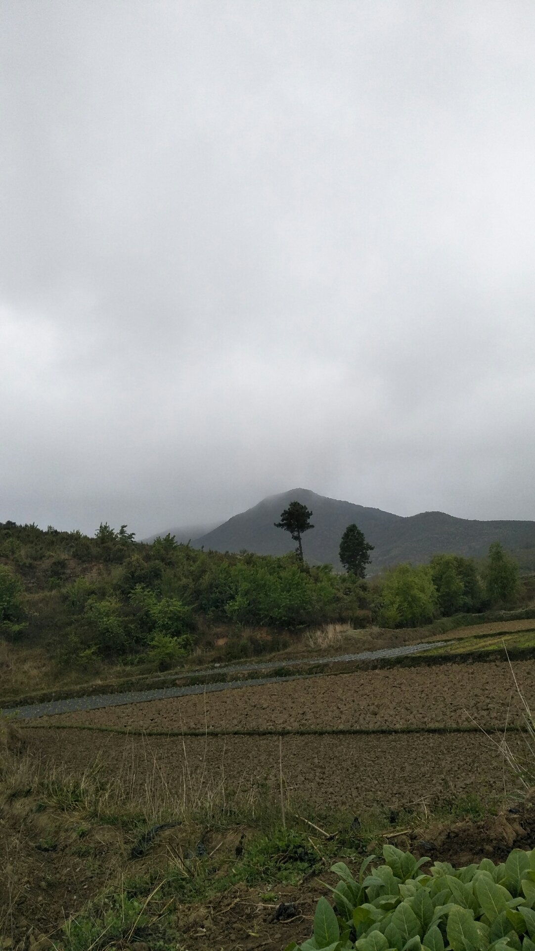 伊家乡天气预报更新通知