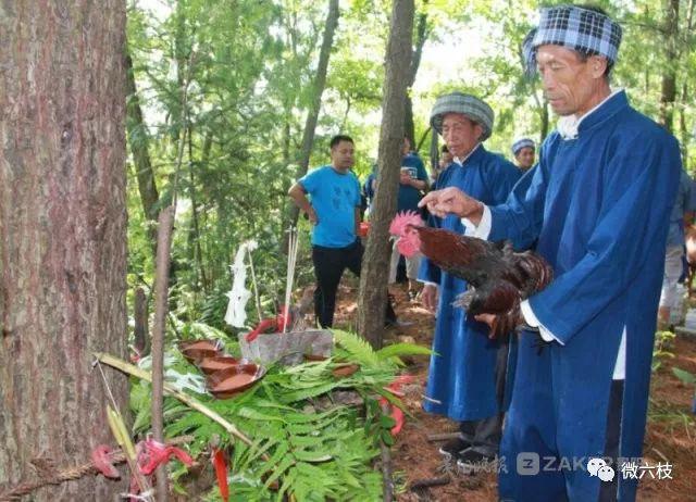 六枝特区农业农村局最新新闻