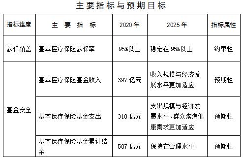 县医疗保障局最新发展规划概览