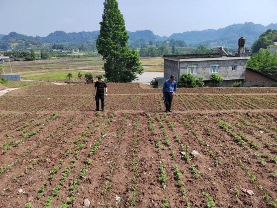 多伦县农业农村局新项目推动农业现代化助力乡村振兴