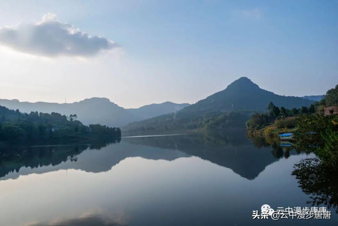 鱼峰区小学新项目，探索教育新境界，培育未来之星领袖