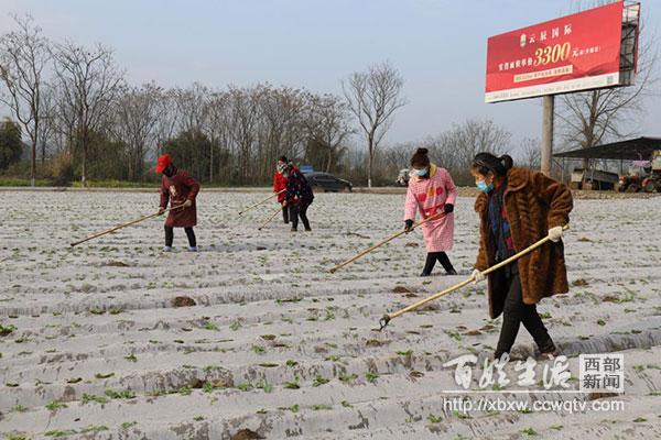 射洪县防疫检疫站最新项目进展及其影响