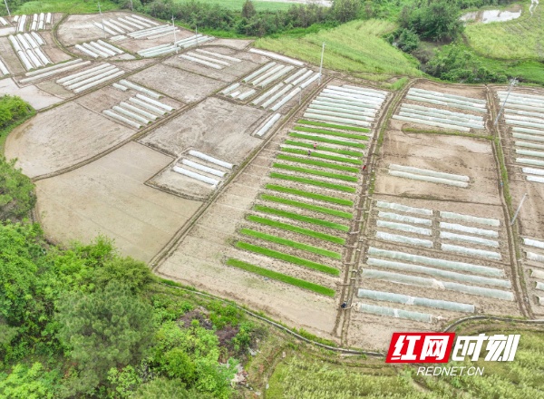 蒋家山村委会天气预报更新通知