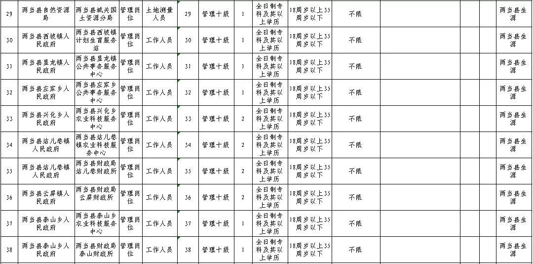 两当县小学最新招聘信息概览