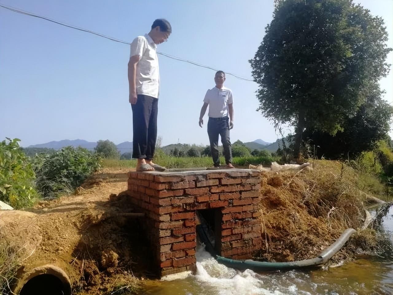 新干县水利局最新发展规划，构建可持续的水利体系，助力县域经济繁荣