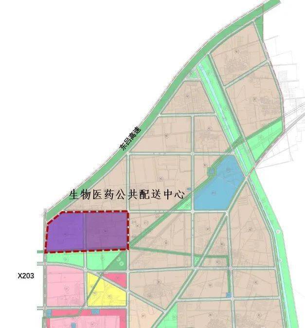 项城市民政局最新发展规划