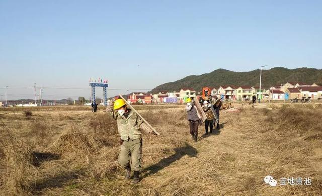 贵池区农业农村局最新项目，推动农业现代化，助力乡村振兴